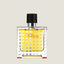 Hermes Terre d'hermes H Bottle Limited Edition (Tester)
