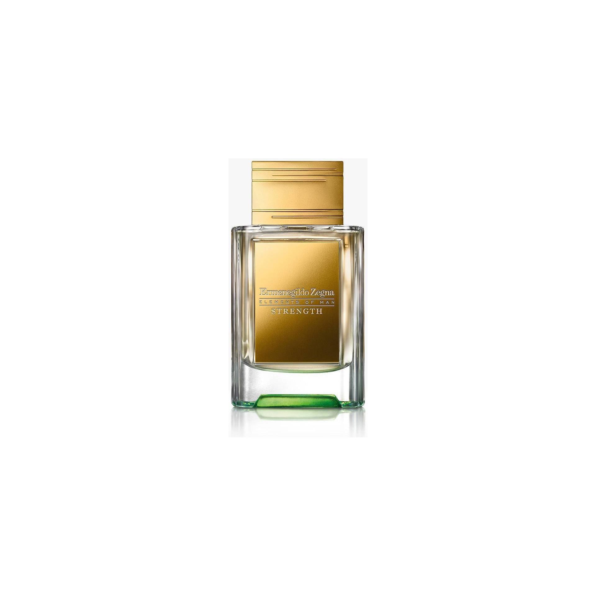 Ermenegildo Zegna Elements Of Man Strength Sample/Decants - Snap Perfumes Main image