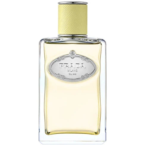 Prada Infusion De Gingembre